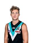 Dan Houston profile picture